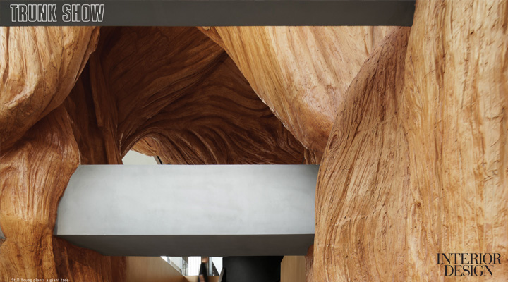 Arc’teryx| INTERIOR DESIGN